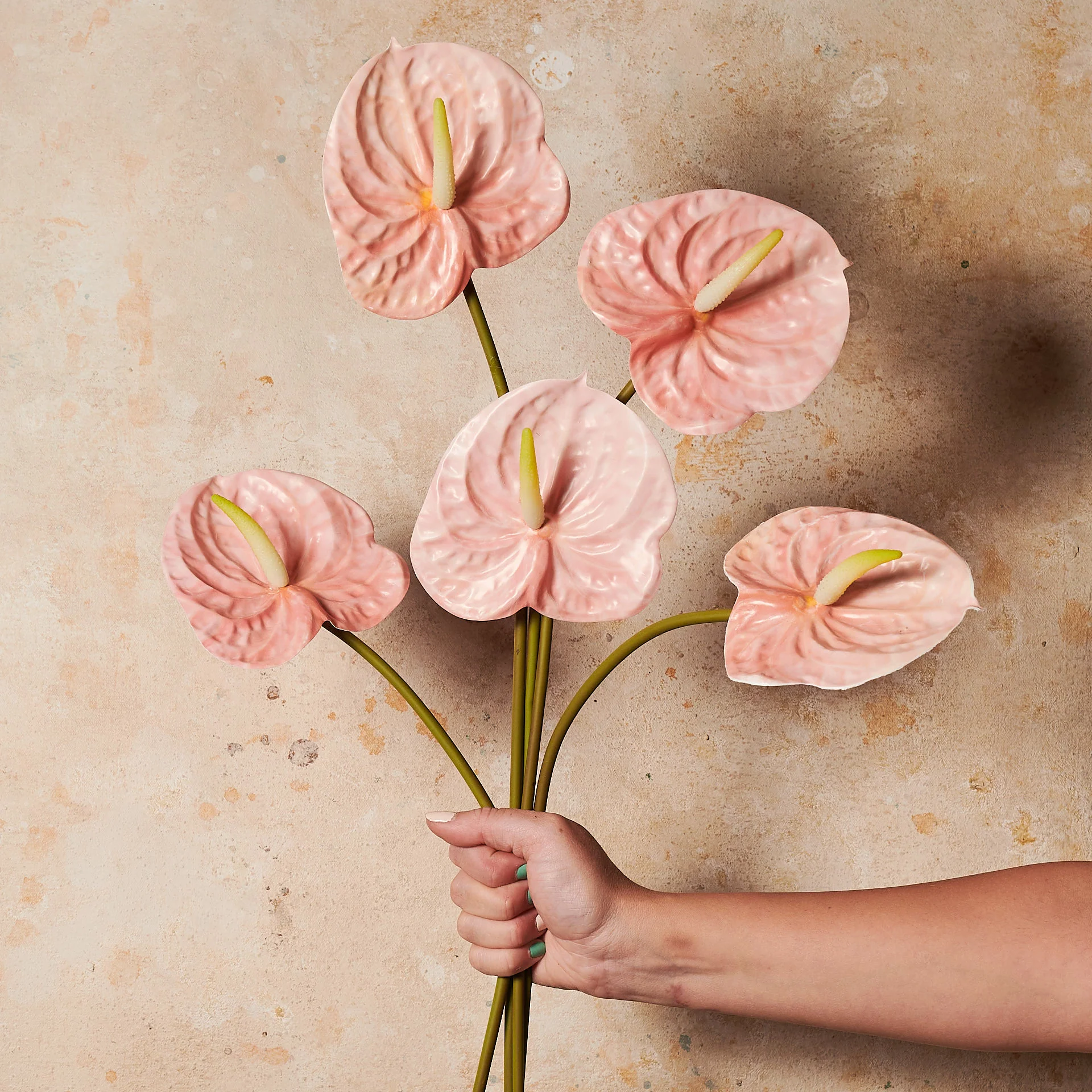 Anthurium (artificial)