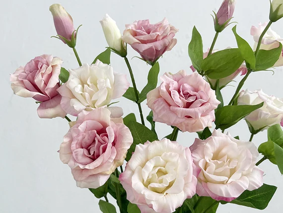 Lisianthus.(artificial)