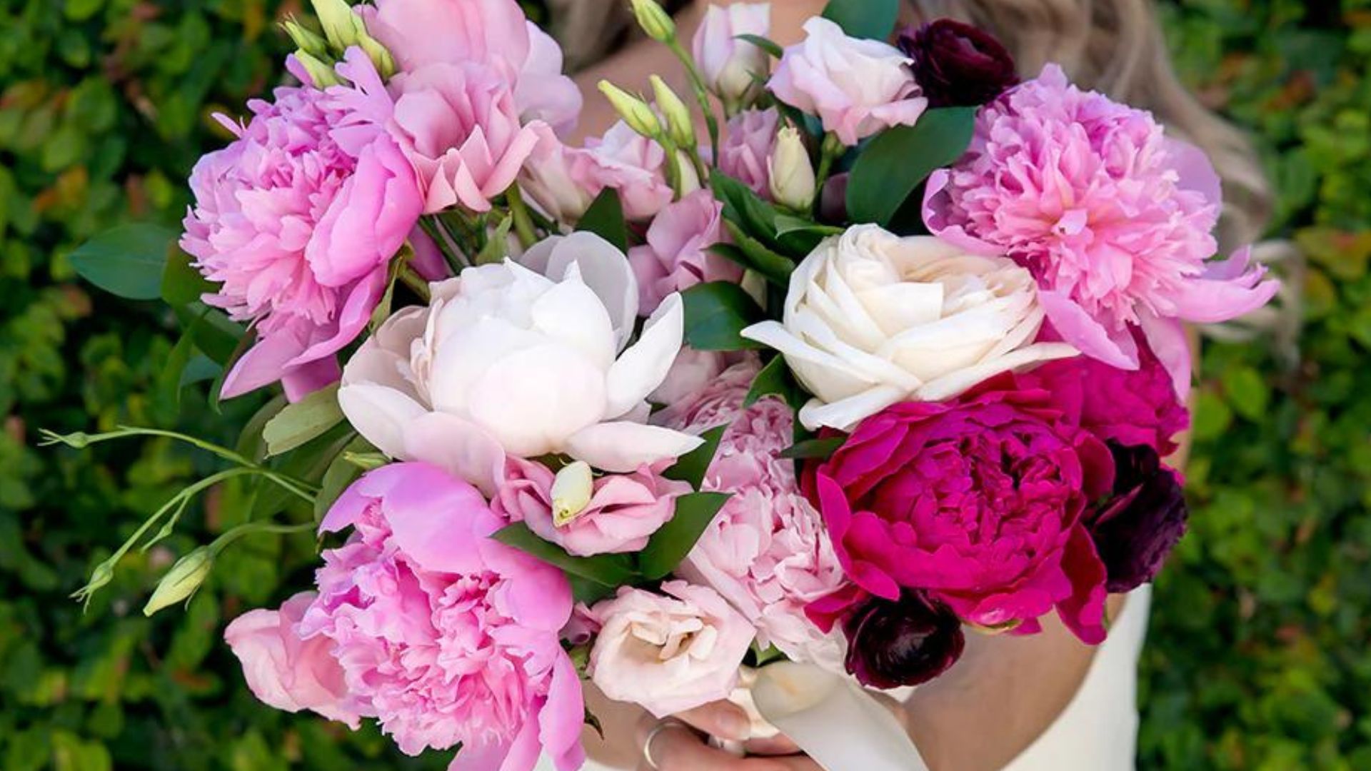 Peonies Peonies