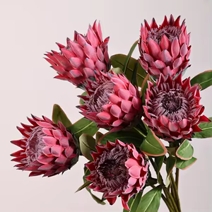 Protea (artificial)