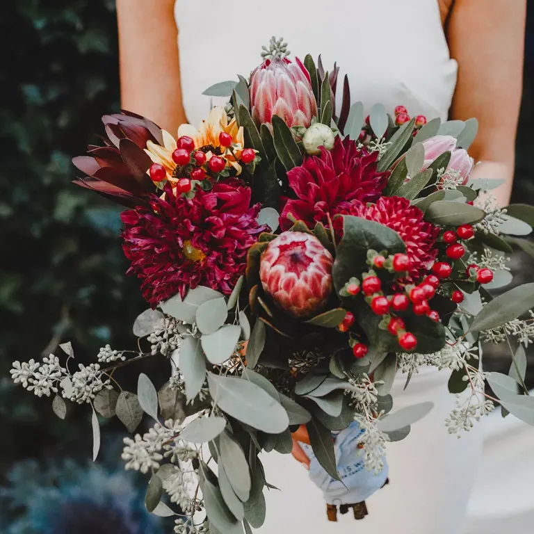 Protea Protea