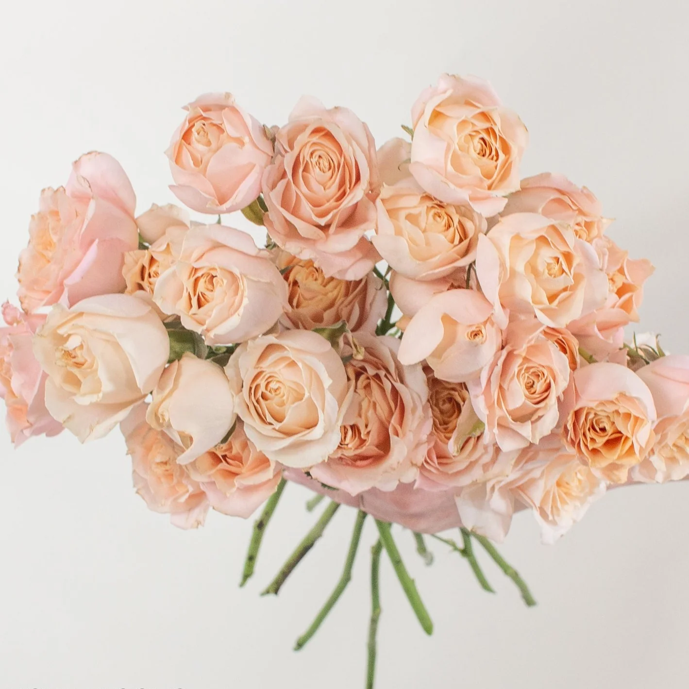 Spray Roses (artificial)