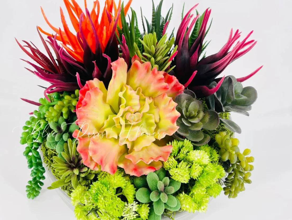 Succulents (artificial)