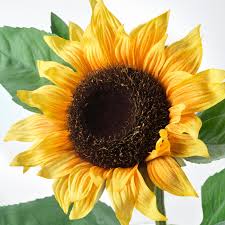 Sunflowers (artificial)