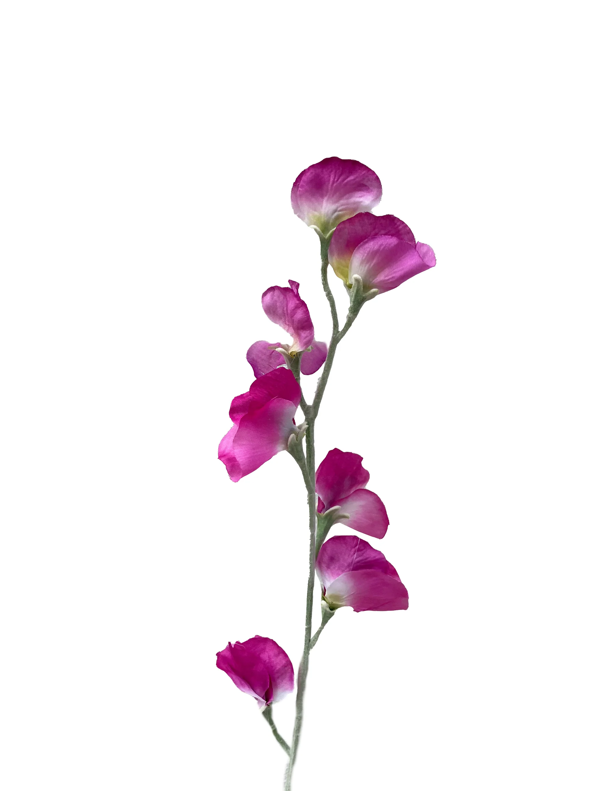 Sweet Peas (artificial)