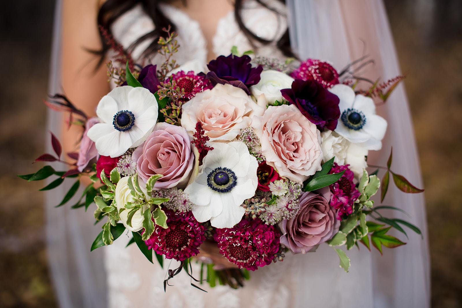 Anemones