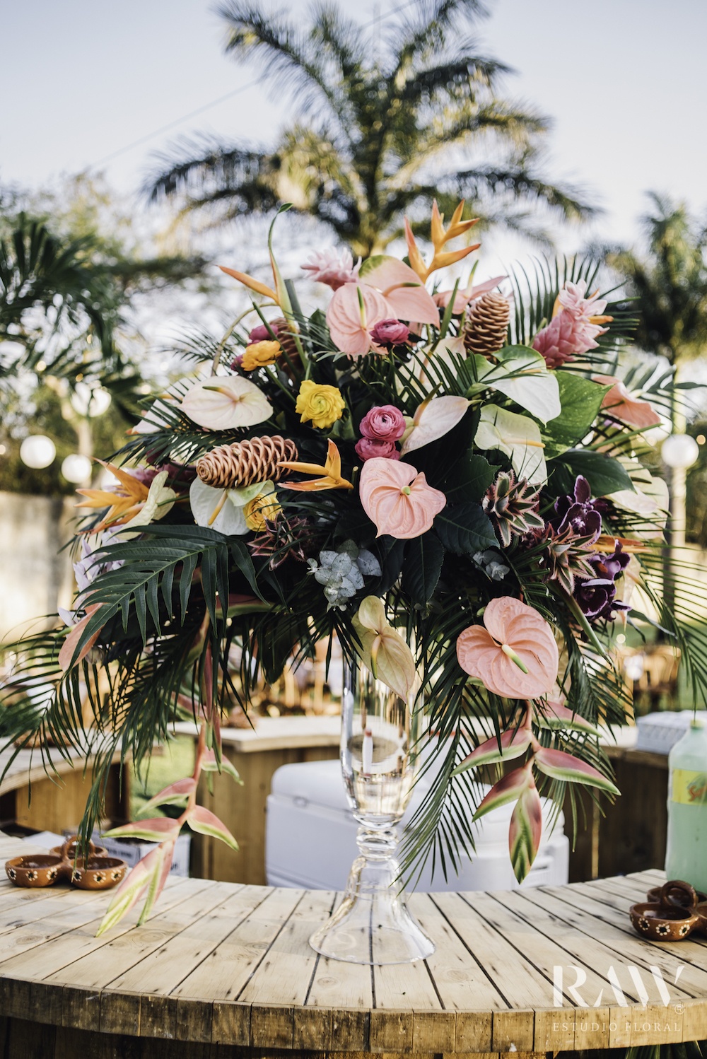 Anthurium
