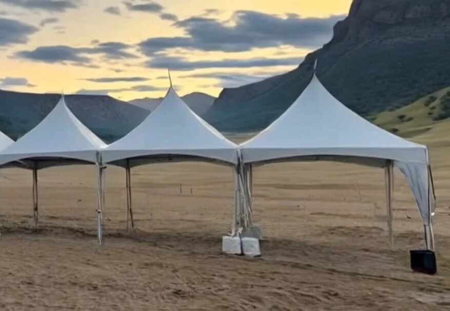 Tent/Canopy 10x