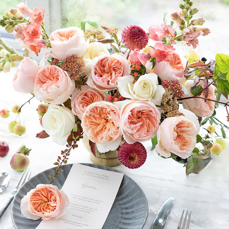David Austin Roses