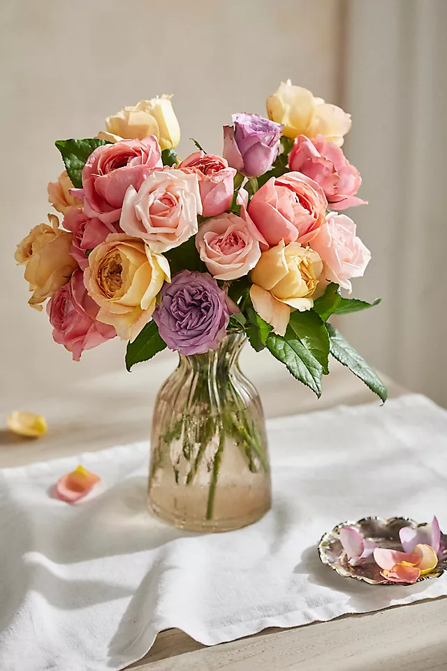 Garden Roses