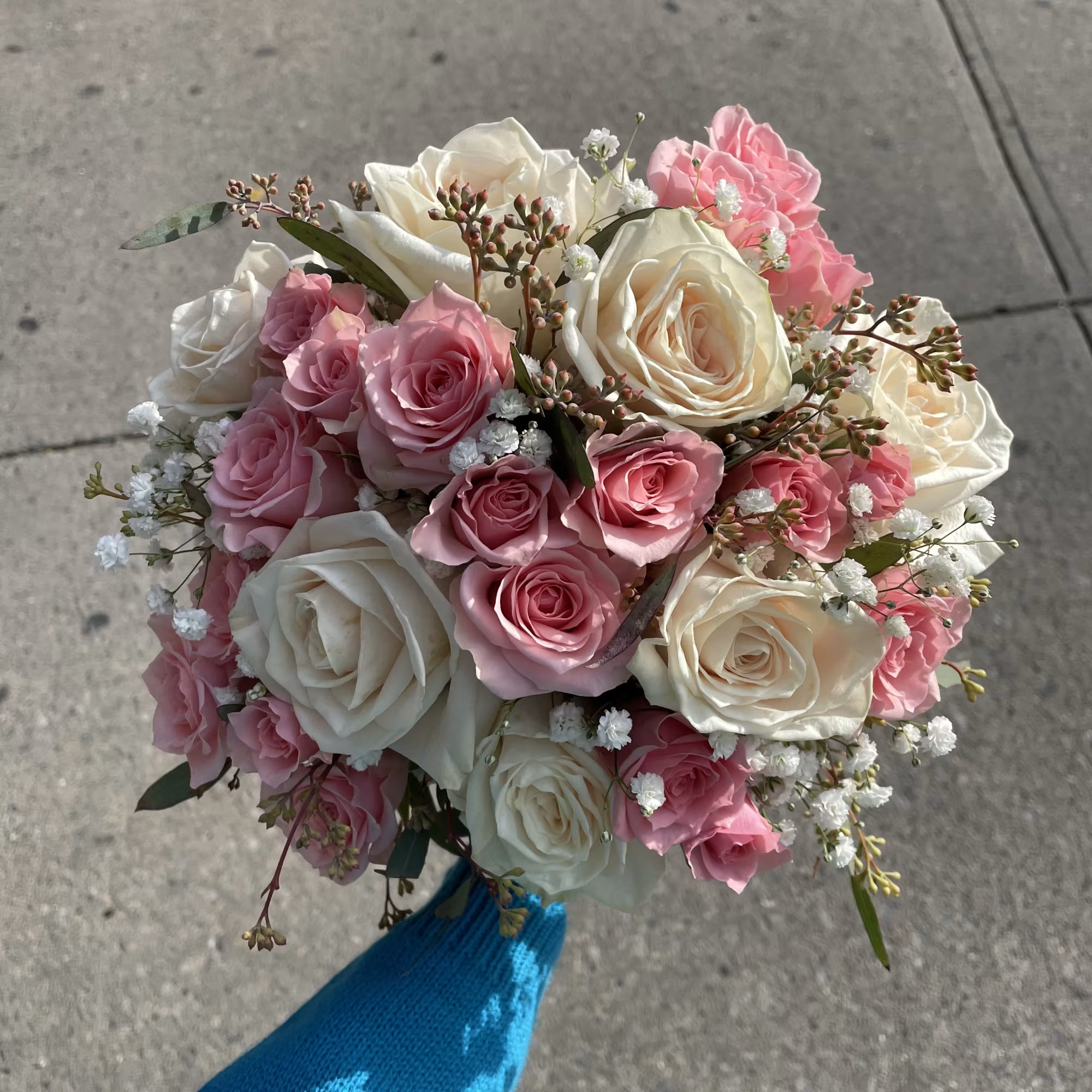 Spray Roses