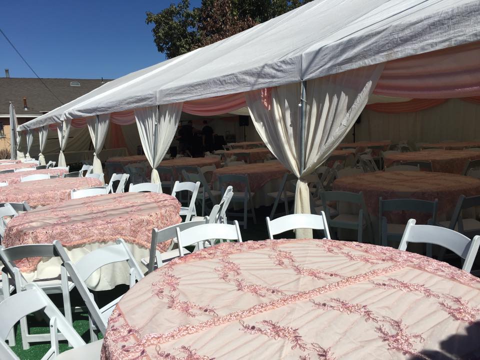 Canopy 30x90 with Drapping