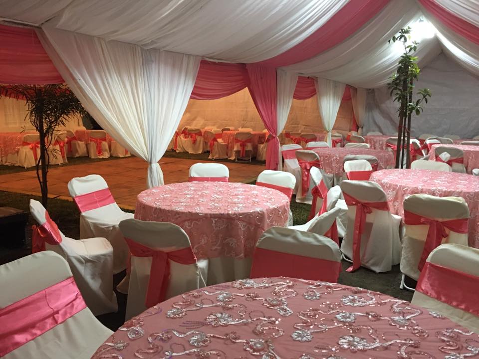 Canopy 15x60 with Drapping