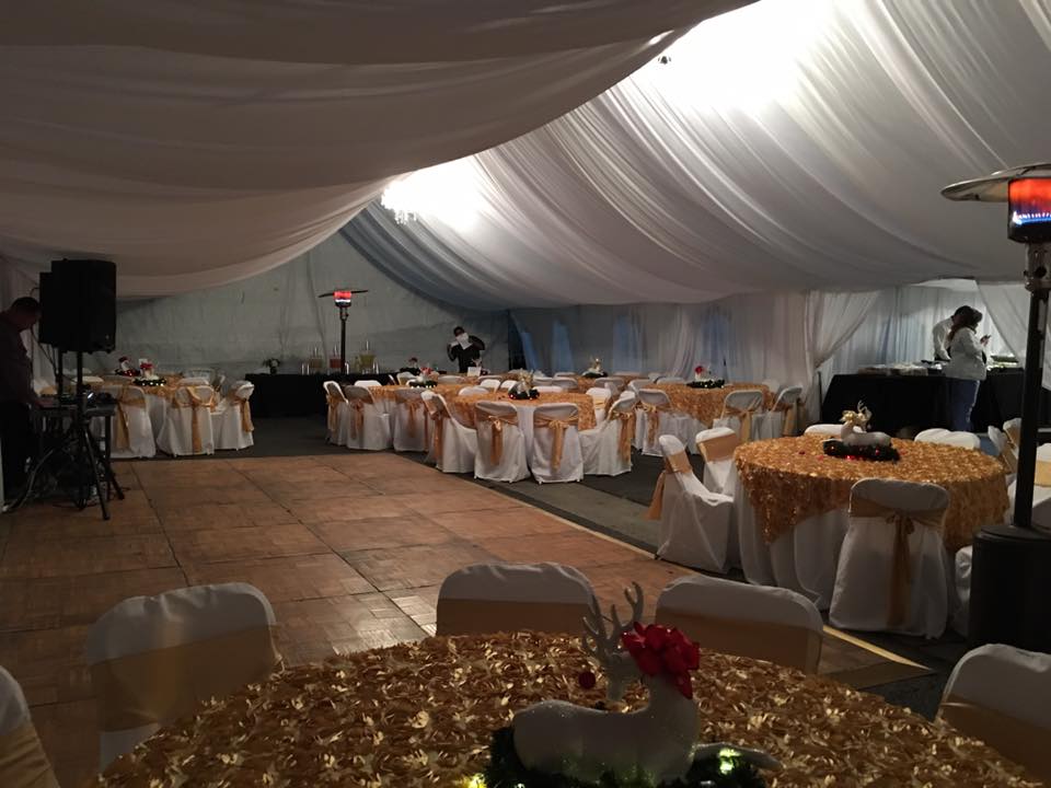 Canopy 30x80 with Drapping