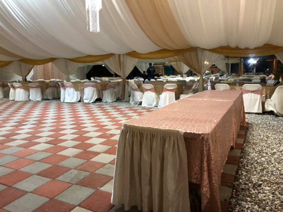 Canopy 30x100 with Drapping