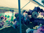 10x20 Tent Pkg #1 10x20 Tent Pkg #1