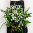 Leatherleaf Fern 