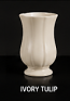 79. Ivory Tulip