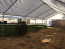 Canopy 20x50