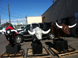 Mechanical Bull