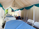 Canopy 10x60 with Drapping