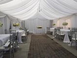 Canopy 20x30 with Drapping