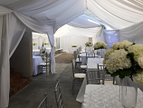Canopy 10x10 with Drapping