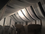 Canopy 20x20 with Drapping