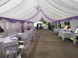 Canopy 20x70 with Drapping