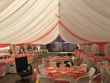 Canopy 30x60 with Drapping