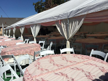 Canopy 30x90 with Drapping