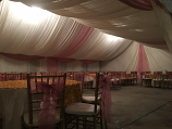 Canopy 30x40 with Drapping