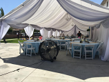 Canopy 20x100 with Drapping