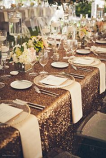 Rectangular sequins