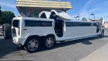 Limousine